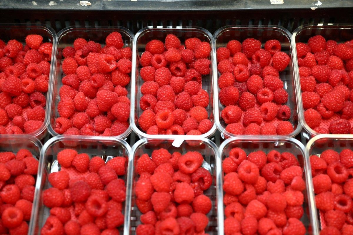 Organic Raspberry fresh