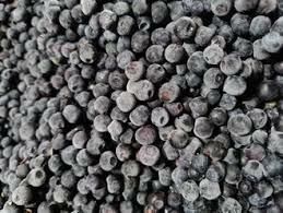 Frozen organic wild blueberries